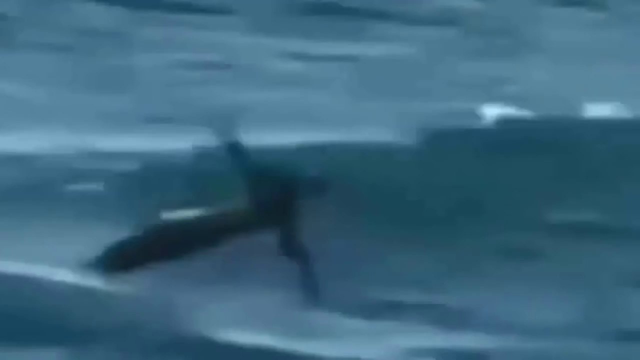 Sirène filmée en Australie - La sirena filmado en Australia - Mermaid filmed in Australia