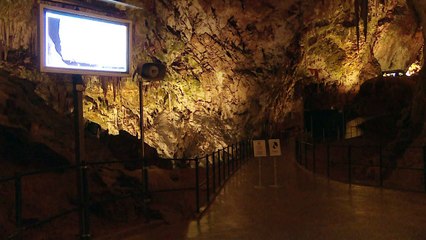 حيوانات نادرة ترى النور في كهف سلوفيني