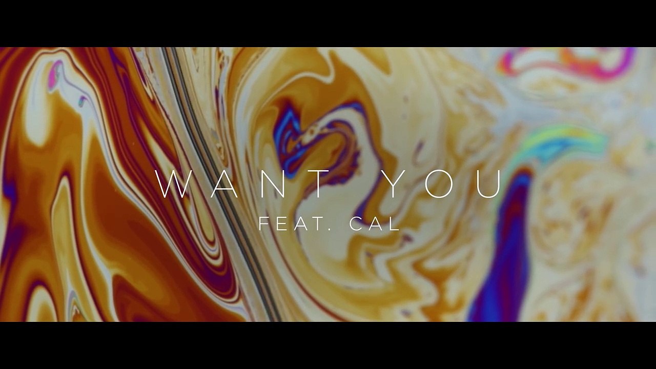 want you-bearson feat. cal
