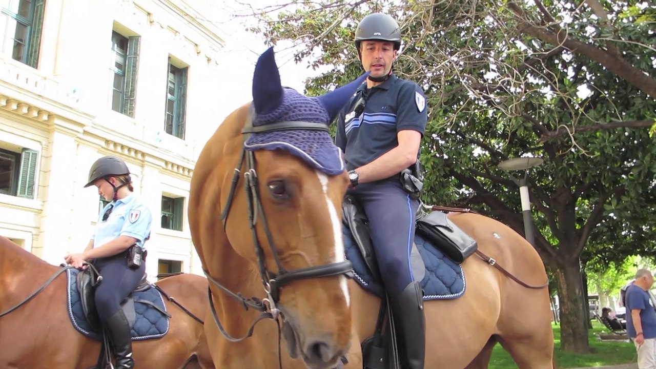 Police montée