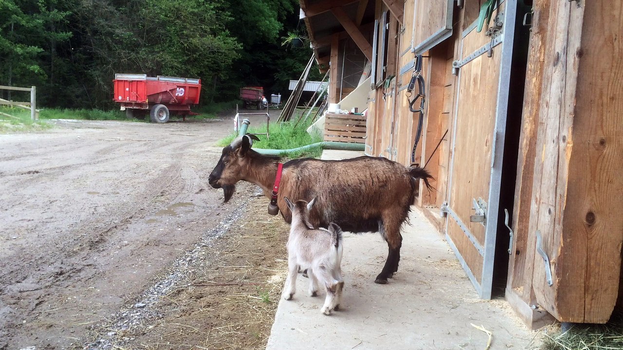 Biquets fOufOus, 3 juin 16