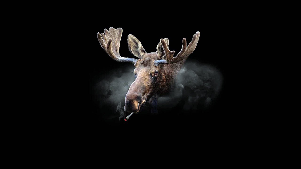 Danny Seth - The King's Speech (Bass Boosted)