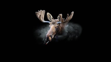 Danny Seth - The King's Speech (Bass Boosted)