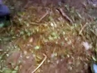 24 /12 mounting bike event 2