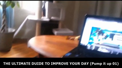 Funny Cat Videos (Pump it up)
