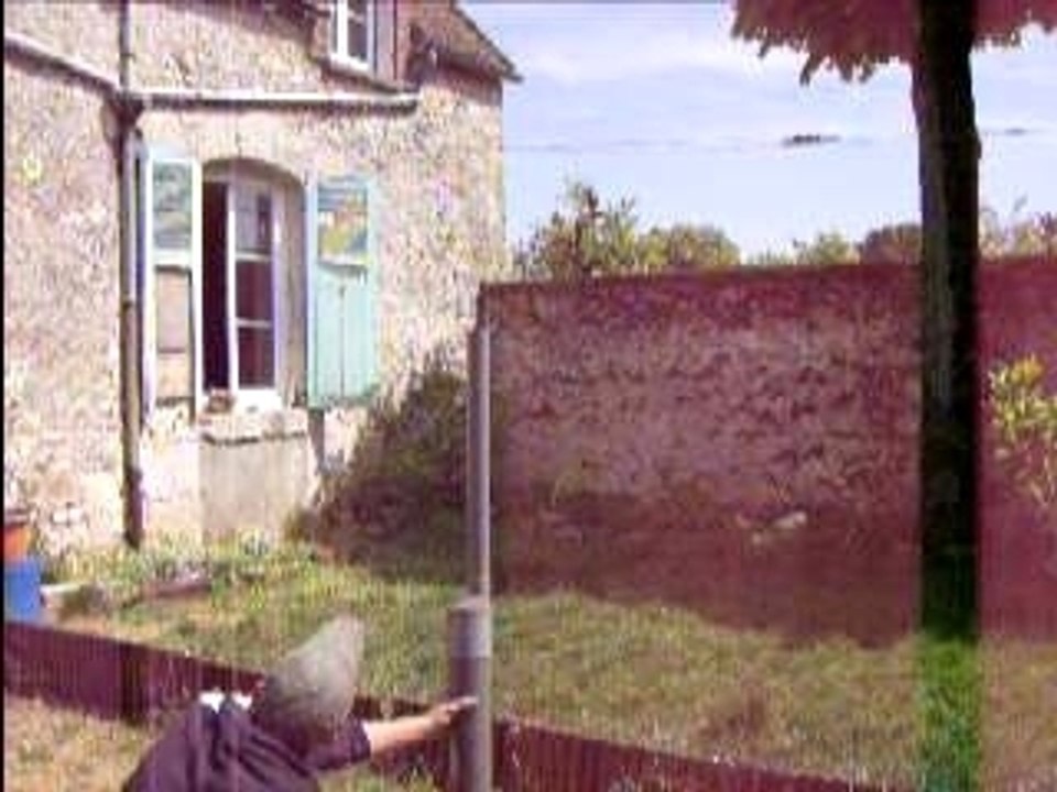 Le patator (3)