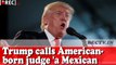 Trump calls American-born judge a Mexican II Latest International News updates