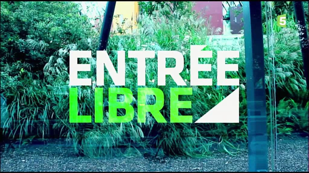Entrée libre-136520742_cut