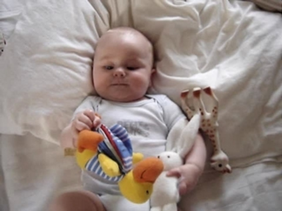 Antoine et son lapin
