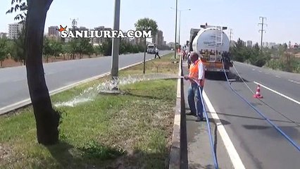 Yeşil Alanda Çalışmalar Sürdürülüyor