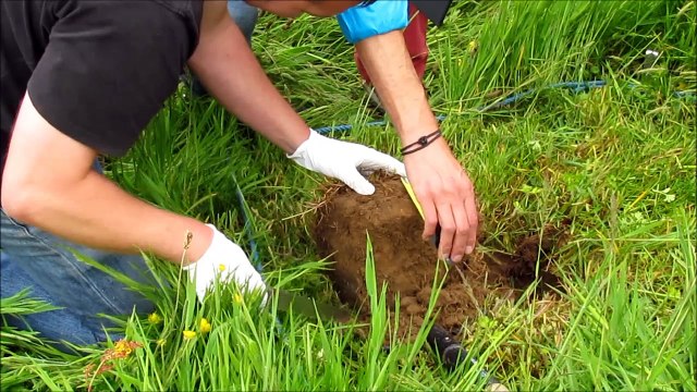 Matinée de formation et de prélèvements terrestres organisée par l'association ACRO (2/2)