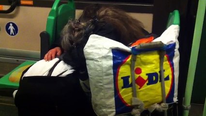 La nuit, de nombreux SDF trouvent refuge dans les bus de nuit parisiens (noctiliens)