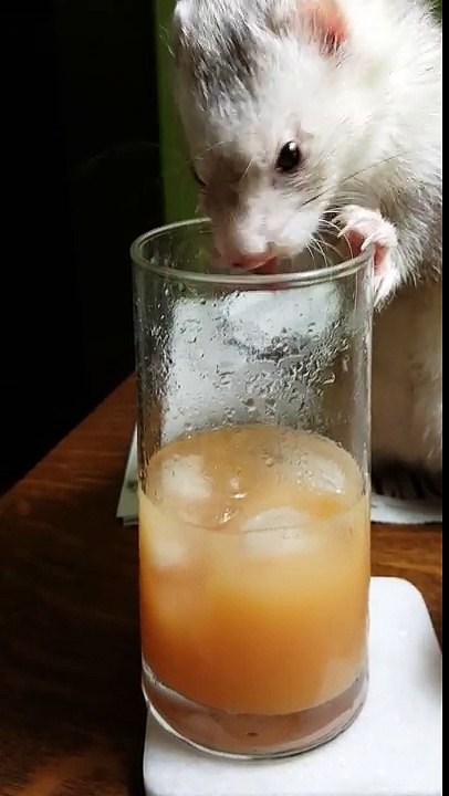 My juice!