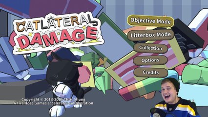 WHAT CATS DO WHEN THEY'RE ALONE | Catlateral Damage