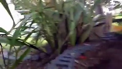 ДЕТСКИЙ МИР