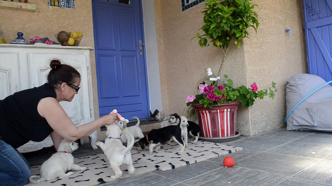 babies freddy lisa 1 months (4/4)