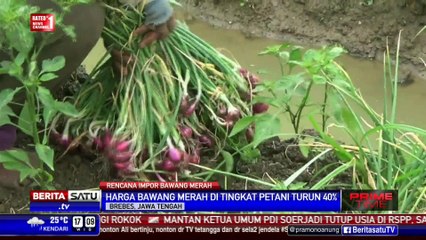 Video herunterladen: ABMI Tolak Rencana Pemerintah Impor Bawang Merah