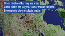 NASA Studies Details of a Greening Arctic - HD