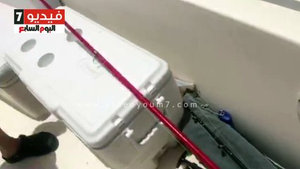 ننشر أول فيديو لسمكة قرش بعد مهاجمتها طالب والتهام قدمه بالعين السخنة