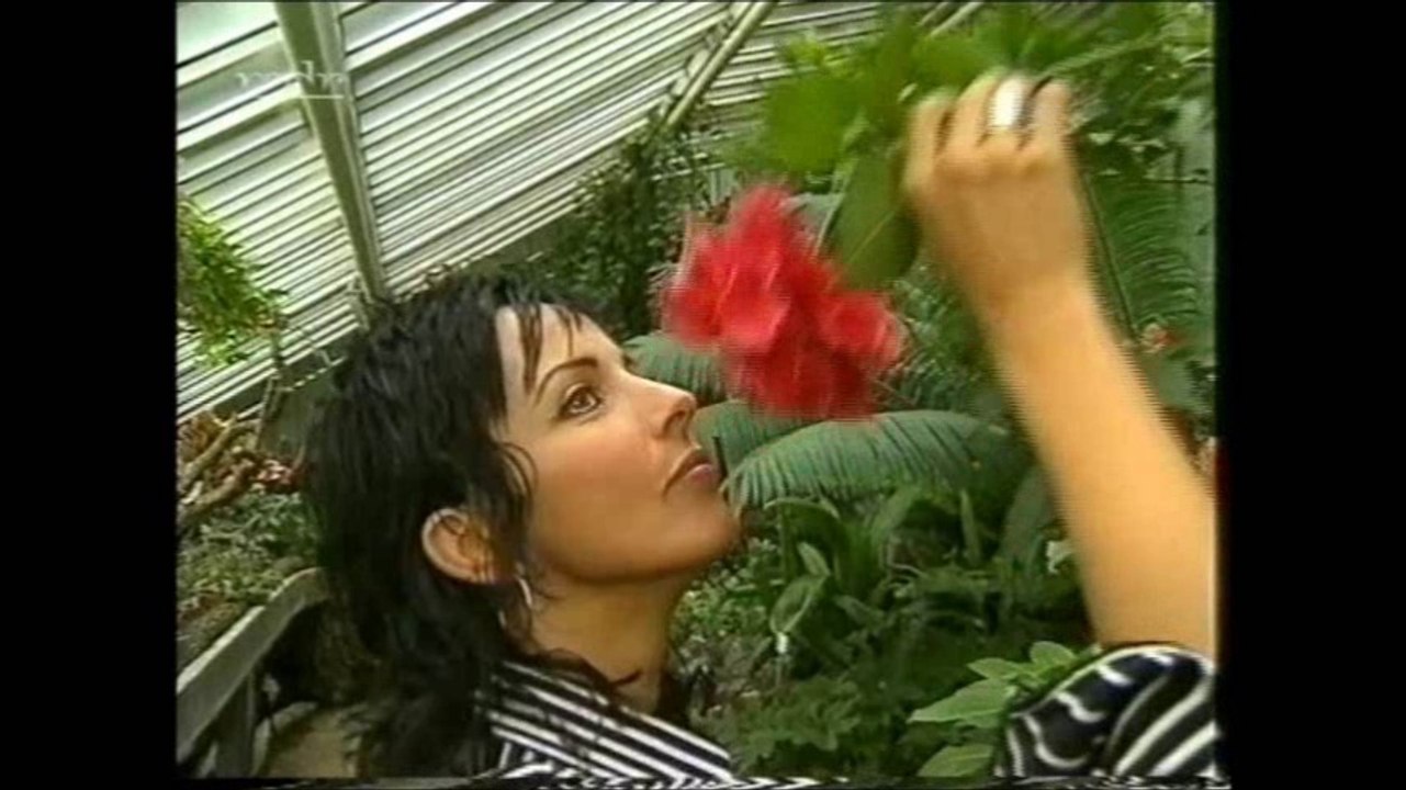 Nena - Brisant 11-10-2001