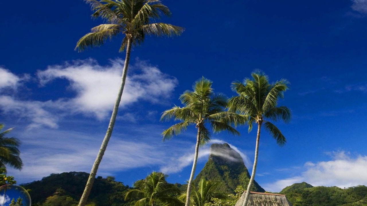 Tropical Beach