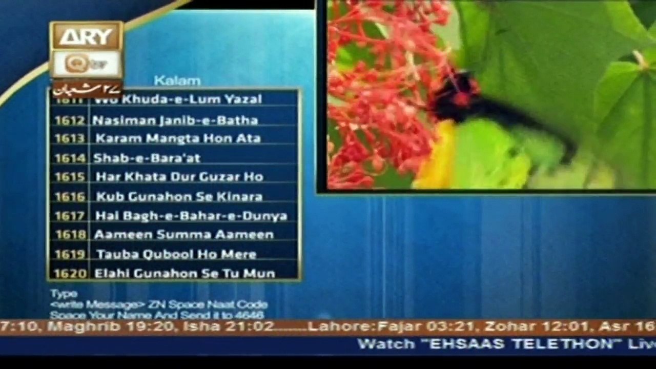 syed zabib masood wo khuda-e-lum yazal