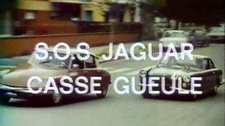 S.O.S Jaguar Opération Casse Gueule - Stelvio Massi
