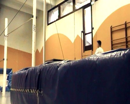 Henri Mauriès Sortie Salto Barres Parrallèles