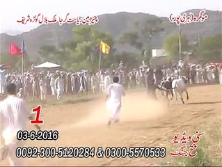 1st Number @ Mongra (Hari Pur) Rayast Girja Malik Bilal