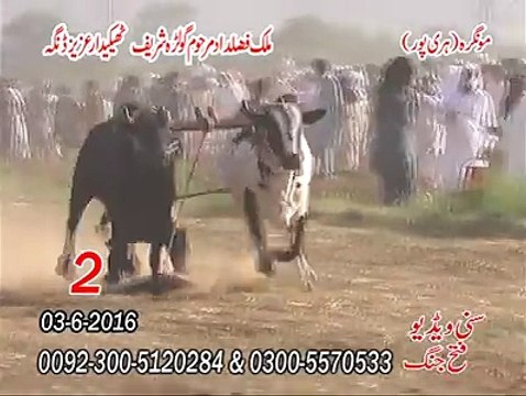 2nd Number @ Mongra Haripur Malik Fazal Dad Marhoom Golra