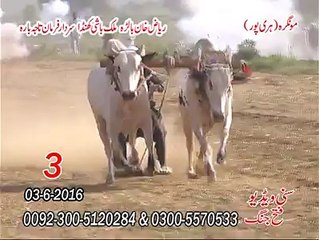 3rd Number @ Mongra Haripur Riaz Khan , Bashi Khan