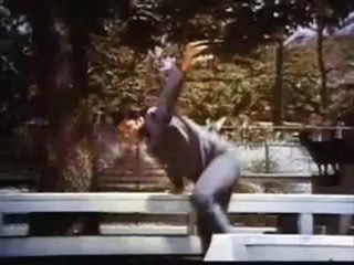 Hawaii Five-0 intro By Sylvain Cloux