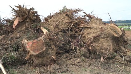 ECOLOGIE ECONOMIQUE - ZAD D'AGEN 47 a Sainte-Colombe-en-Bruilhois