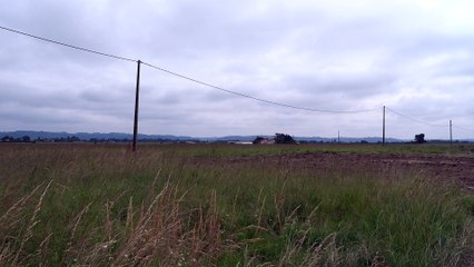 Le Kartell : (phare nosquatt geekerie kenl) rasé