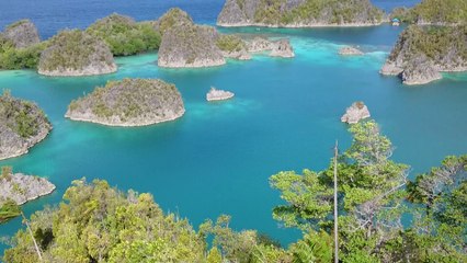 Raja Ampat ..The Biodiversity