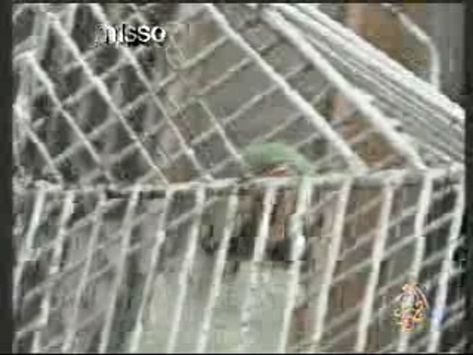 allah islam miracle taza gaada maraoc