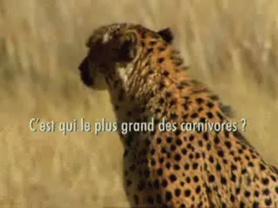 Charal
