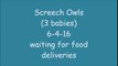 Screech Owls 6-4-16 waiting at door for meals