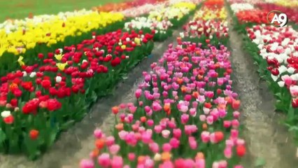 Dünya hayatının aldatıcı süsleri