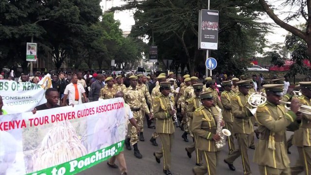 Kenyan conservationists welcome ivory ban by US