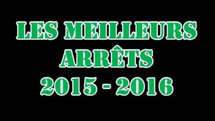 (Masculin) LES MEILLEURS ARRÊTS 2015-2016 (Top 30)