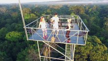 A tower in the middle of the rainforest.