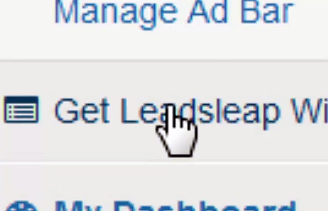 leadsleap wix