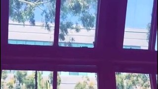 Tegan and Sara Snapchat Story - May 2016