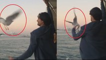 Mohammad Irfan catches flying bird on boat