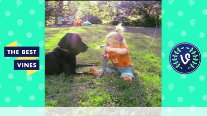 Best Fails Vines Compilation - Top Fail Vines May 2016