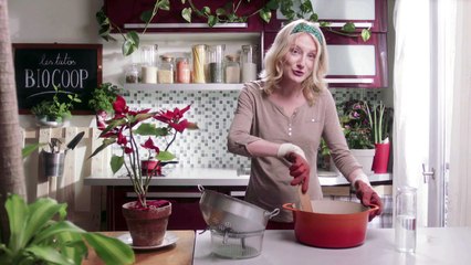 Commment s'occuper de ses plantes avec des produits bios
