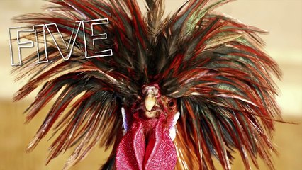 SEXY BALLERINA! (5 Weird Stuff Online - Part 02)