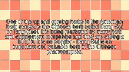 Herbs, The Foundation of Medicine: Dang Gui (Angelica Sinensis)