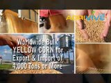Shop Bulk Wholesale Corn, Corn Export, Corn Grinding Mills, Corn Flour Mill, Corn Mill